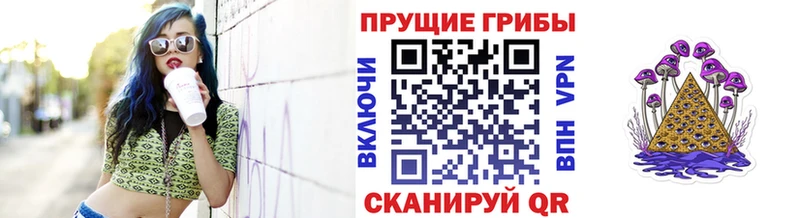где купить наркоту Наволоки Галлюциногенные грибы GOLDEN TEACHER